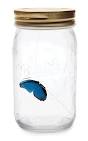 ThinkGeek :: Electronic Butterfly in a Jar