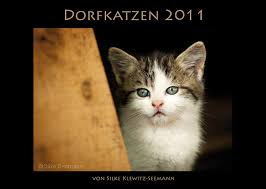 Katzenkalender 2011 - Bild \u0026amp; Foto von Silke Klewitz-Seemann aus ...