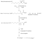 File:Anaerobic desaturation.png - Wikipedia, the free encyclopedia