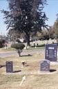 Dooley Wilson (1886 - 1953) - Find A Grave Memorial
