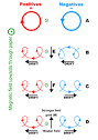 Magnetic field - Wikipedia, the free encyclopedia