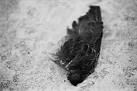 Nikon N80, 70-300/4.5-5.6 LD Macro, 300mm ISO125, Kodak Plus-X 125 film, - via Daymix