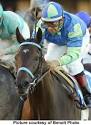 Declan's Moon - 2005 Kentucky Derby Contender