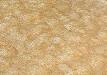 Fermentation (biochemistry) - Wikipedia, the free encyclopedia