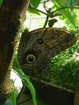 The botanical garden of - via Daymix