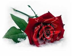 HZ.MUHAMMED'İN (SAV) (UZUN) HAYATI