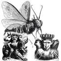 1863 Dictionnaire Infernal In PDF - All Illustrations Included ...