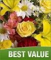How to Find Cheap Flowers and Discount Flowers Online | The Online ...