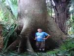 Lower Dover Jungle Lodge | Lower Dover Field Journal