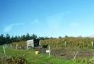 Pig Farm, St Brelades - via Daymix