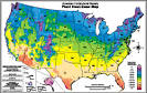 Greenroofs101: Plant Material