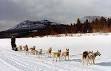 Sled dog racing - Wikipedia, the free encyclopedia