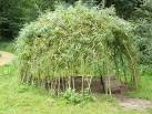 TQ7297 : Living Willow Dome - via Daymix