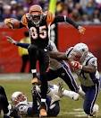Chad Ochocinco Of The Bengals