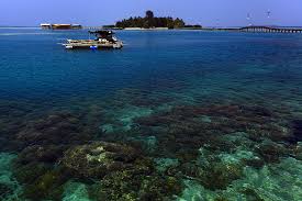 http://pulautidungpakettour.blogspot.com/