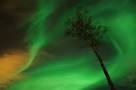 against a green sky
