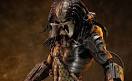 Predators
