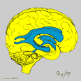 Ok..so there is <b>CSF</b> flowing