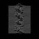 unknownpleasures.jpeg