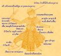 ThaiclassicalDances >> นาฏศิลป์ไทย - การ