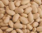 Great Northern Beans 1 lb. - Fiddlers Green Farm Store