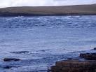 The Roost is whipped up when the outgoing ebb tide meets the Atlantic swell - via Daymix