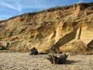 Remains of dead trees, - via Daymix
