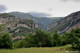 Resultat d'imatges de Alta garrotxa