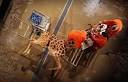 Schools abandon dissection in Biology lessons over health and ...