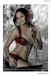 All Celebz | Latest Bollywood Gossip & News | All Celebz | Latest