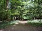 near to Abinger Common, - via Daymix