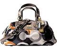 http://www.orderhandbags.com/images/coach_handbag_fashion_style.jpg
