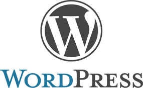  WordPress 3.1.4 Update Now!