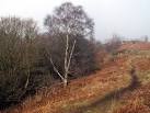 The path to Loadpit Beck from Glen Road - via Daymix