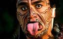 Maori head finally sent home to New Zealand from France - Telegraph