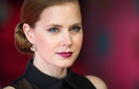 Look 1) Amy Adams&#39; rich plum lipstick, shimmery eyes, and chignon at the BAFTA Awards. amy-adams-dark-plum-lipstick-bafta-2014 - amy-adams-dark-plum-lipstick-bafta-2014-w352