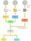 http://www.shen-nong.com/eng/images/principles/qibloodbodyfluids/pic_qi.gif