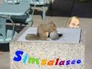simsalaseo