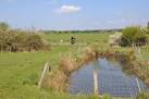 Nursery Pond, Hazlecourt Fish - via Daymix