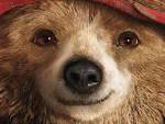 PADDINGTON MOVIE HD Wallpapers - HD Wallpapers Inn