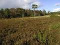What is Heathland