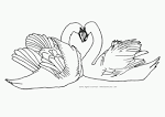 Swan coloring page