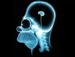 Image Homer Simpson Wallpaper Brain Picture