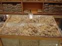 Enfleurage-An aromatic tour of Oman, the land of FRANKINCENSE ...