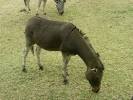Muldersdrift Pictures - Traveler Photos of Muldersdrift, Gauteng ... 