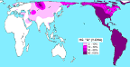 File:Haplogroup Q (Y-DNA).PNG - Wikipedia, the free encyclopedia