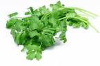 Larky's Kitchen Getaway: ~ The 3 Cs - Chinese Parsley v.s. ...