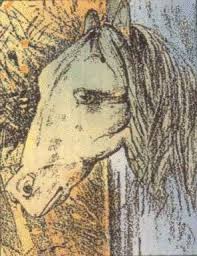 illusion grenouille/tête de cheval