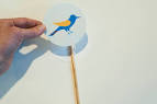 http://madebyjoel.com/wp-content/uploads/2011/01/Made-by-Joel-Bird-Thaumatrope-3.jpg