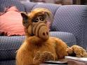 ALF | Your Resource For Dish TV Entertainment News